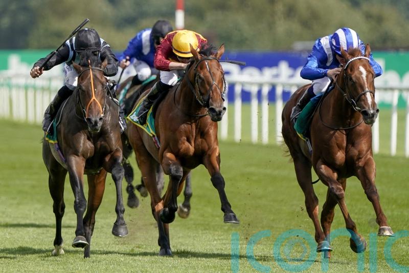 Globetrotting State Of Rest out to realise long-term Curragh plan