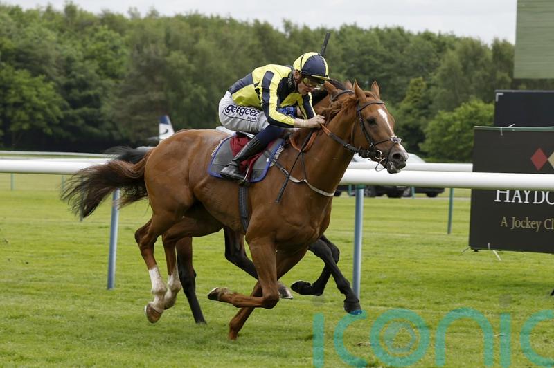 Whoputfiftyinyou takes Silver Bowl gold at Haydock