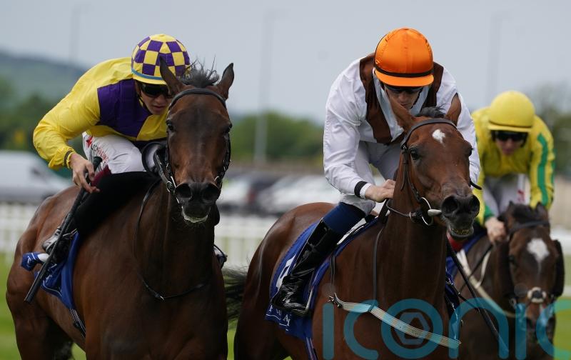 Pearls Galore lands the odds in Lanwades Stakes