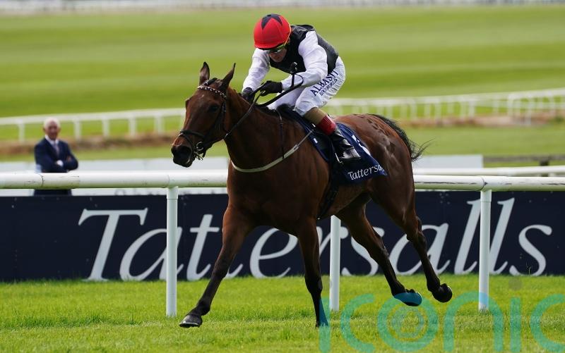 Homeless Songs produces brilliant display in Irish 1,000 Guineas