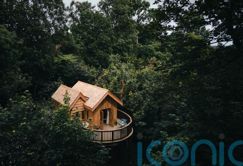 These might just be the coolest new treehouses in the UK