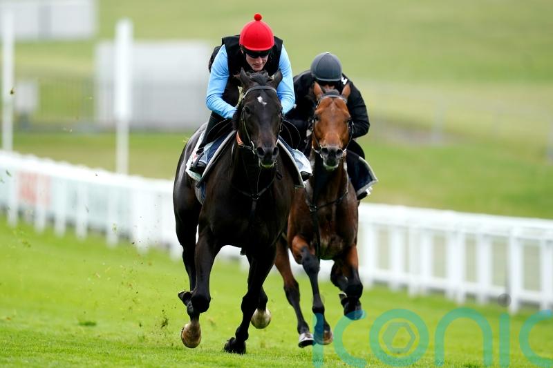 Hang fire is Varian advice for punters on Eydon’s next move