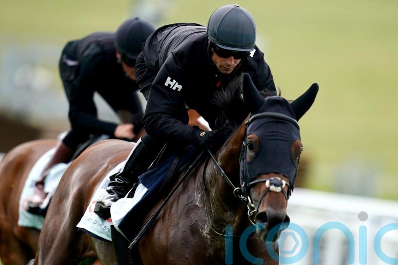 West Wind Blows has the class, but experience a worry