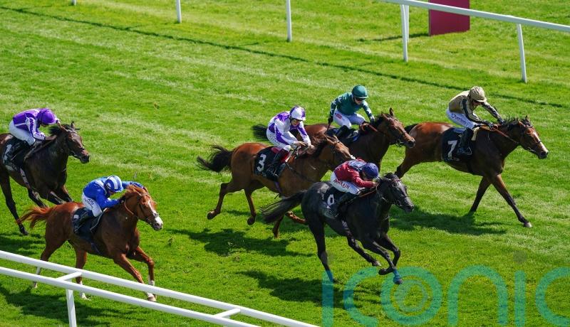 Horton has Ascot ambitions after fine start from Middleham base