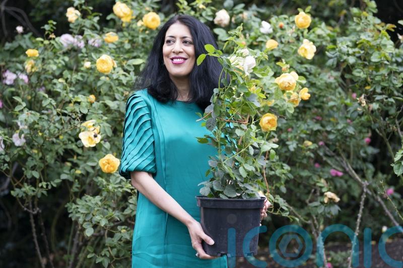 Queen hails rose named for 18th-century black gardener as symbol of community