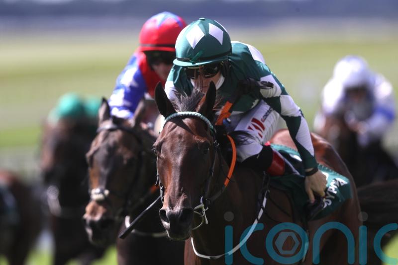 Mooneista heading to Ascot following Greenlands run