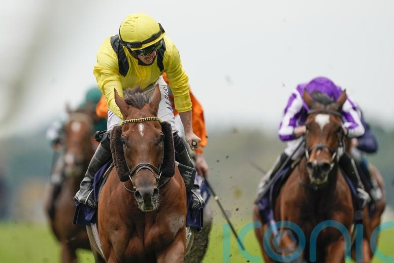 Marquand excited to renew Addeybb partnership at Sandown