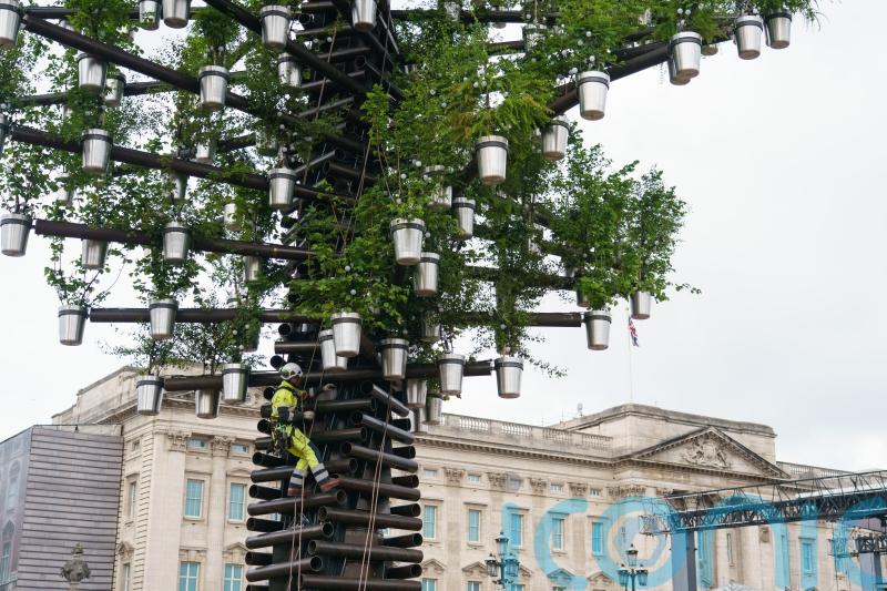 Buckingham Palace sculpture celebrates ‘superhero’ trees