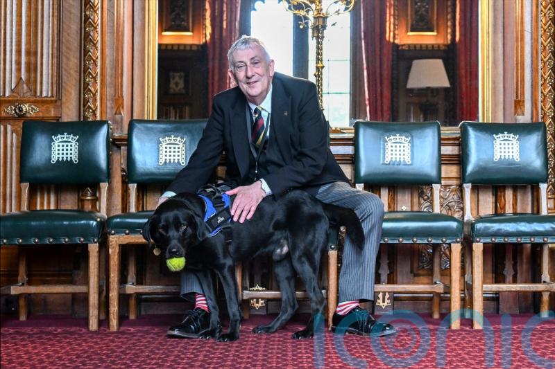 Speaker Hoyle: Trauma support dog would be ‘calming influence’ on MPs