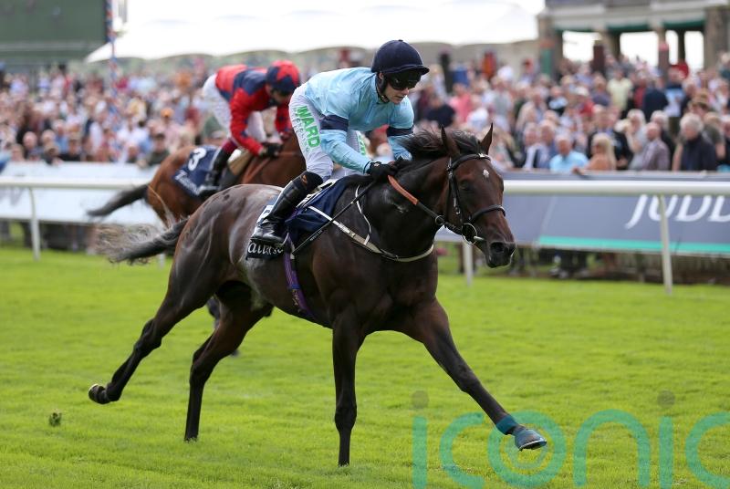 Royal Patronage on Derby trail for Highclere