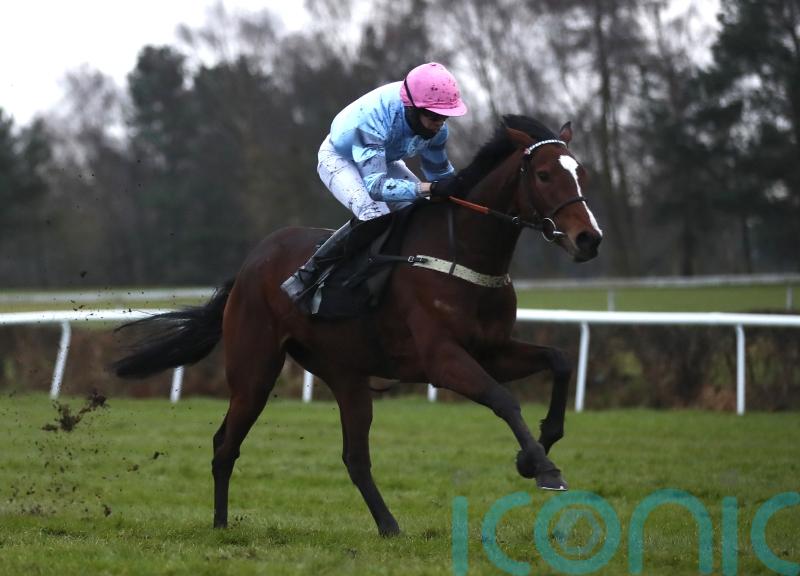 ‘Unexpected superstar’ Eileendover set to embark on broodmare career
