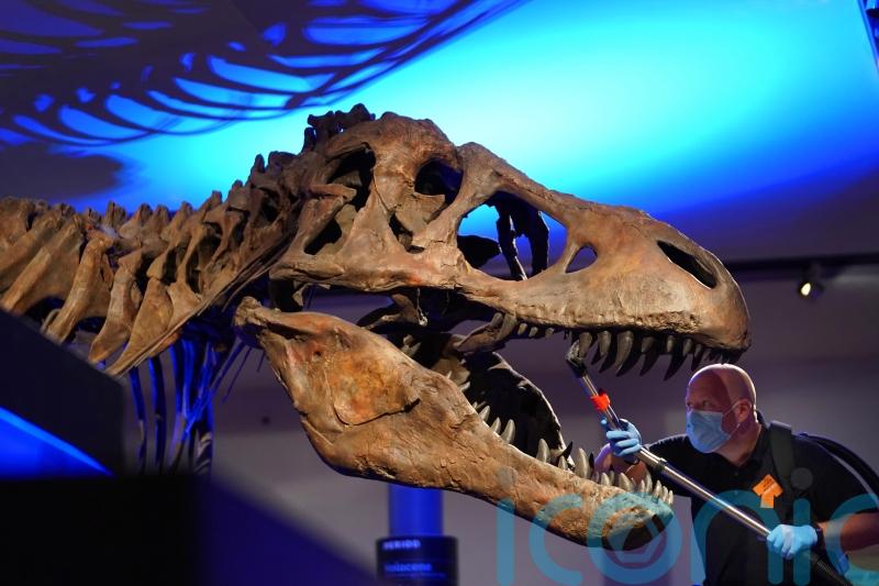 Researchers discover most dinosaurs were warm-blooded