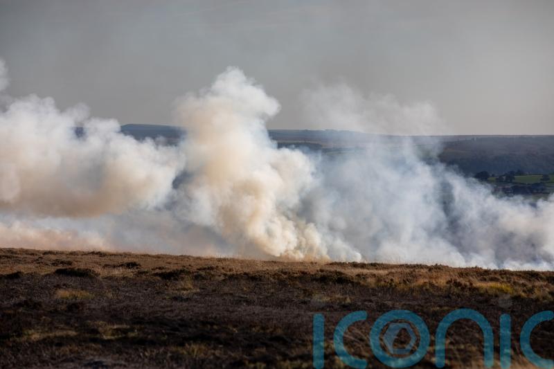 England’s ‘rainforests’: officials investigate reports of burning protected peat