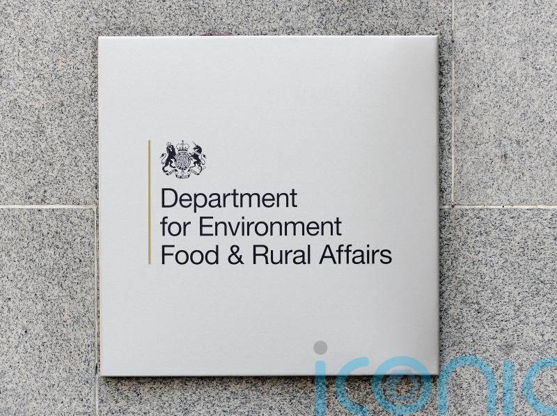 Dozens of schemes receive grants of up to £100,000 to boost investment in nature