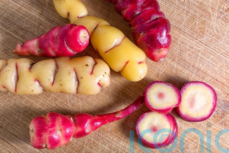 What food will gardeners be growing in future?