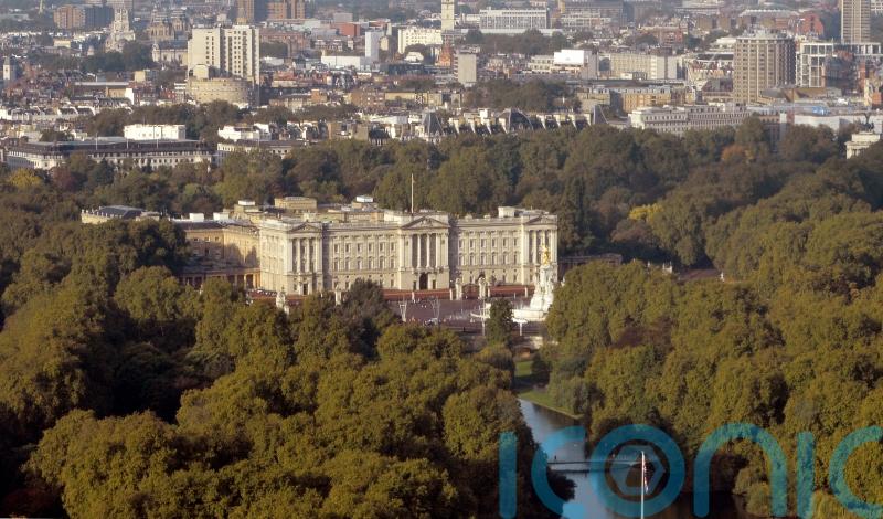 Man &lsquo;arrested in grounds of Buckingham Palace told staff he wanted to see Queen&rsquo;
