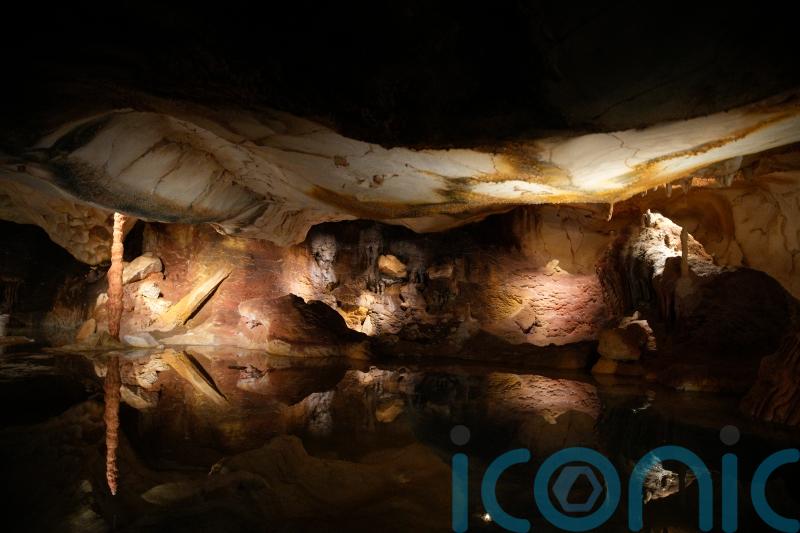 Replica of famed prehistoric cave to open in Marseille