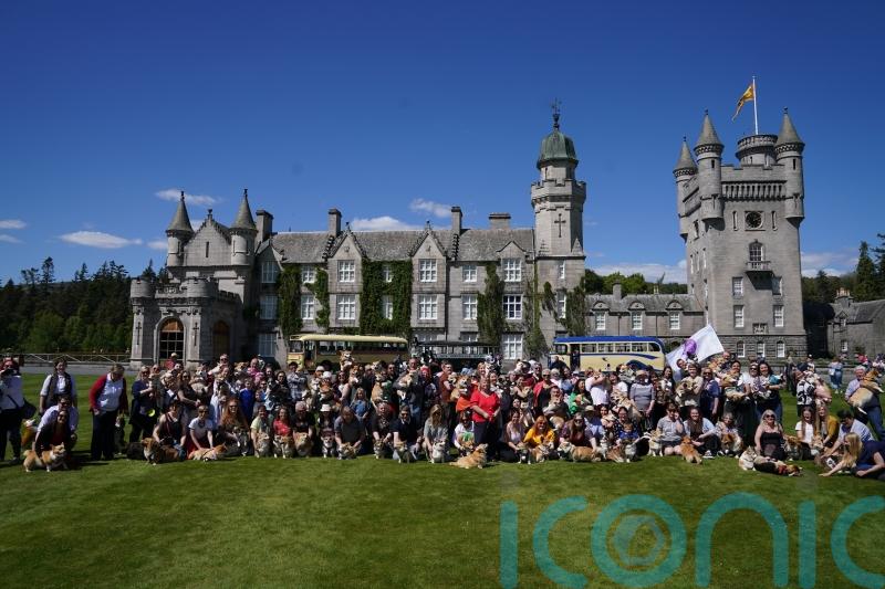 More than 70 corgis gather at Balmoral for Queen’s Platinum Jubilee