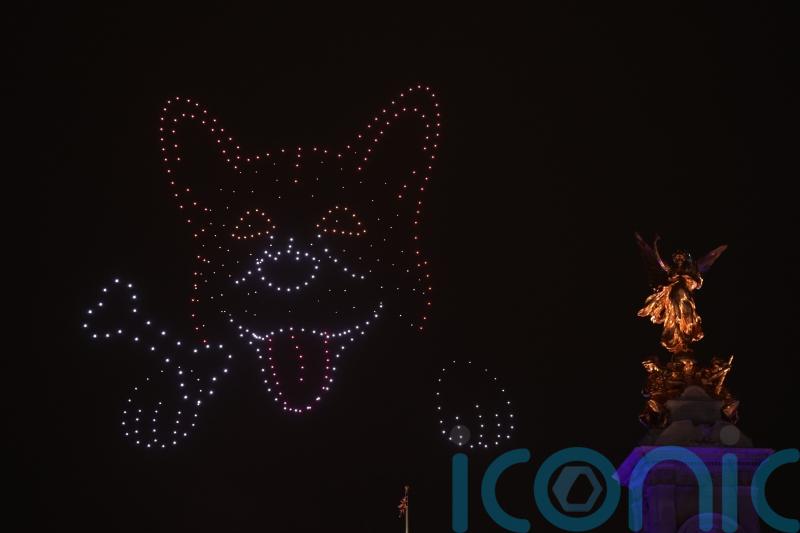 Corg Blimey: Twitter reacts to giant drone corgi at Queen’s Jubilee concert