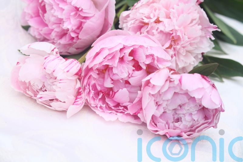 Peonies, sweet peas and roses: How to display your cut flowers