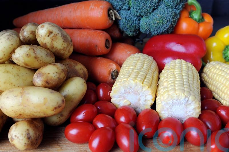Scottish Government backs plans for new Food Commission