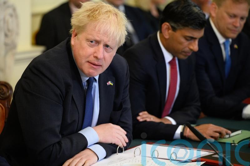 Johnson says ‘fundamental instinct’ is to cut taxes and costs after Tory revolt