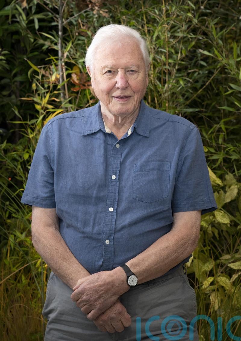 Charles to appoint Sir David Attenborough as Knight Grand Cross