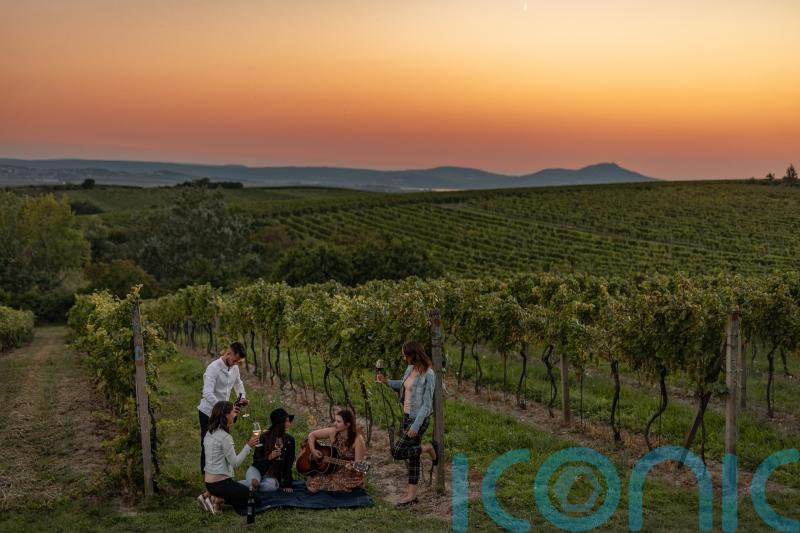 Move over Tuscany – the Czech Republic is the exciting new location for wine-tasting escapes