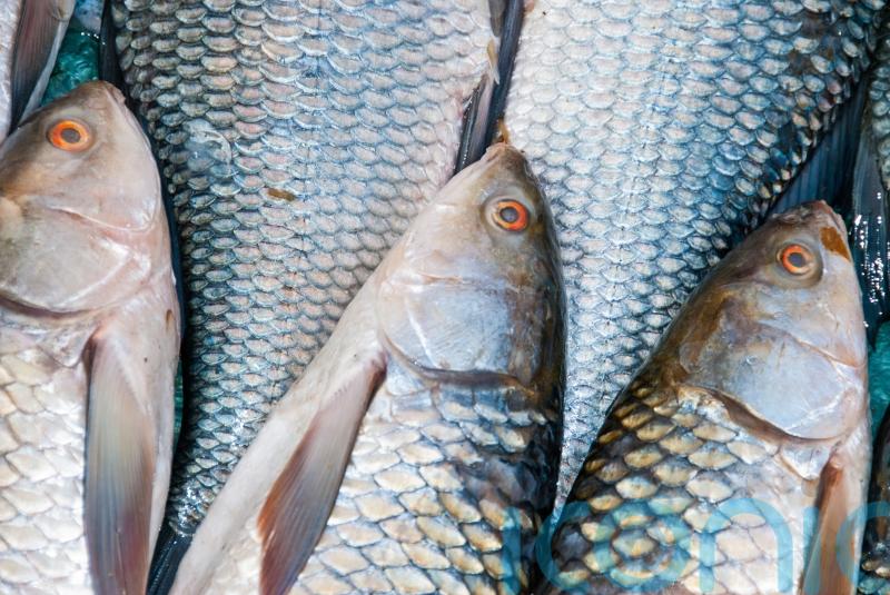 Eating fish twice a week linked to higher skin cancer risk, new US study reveals