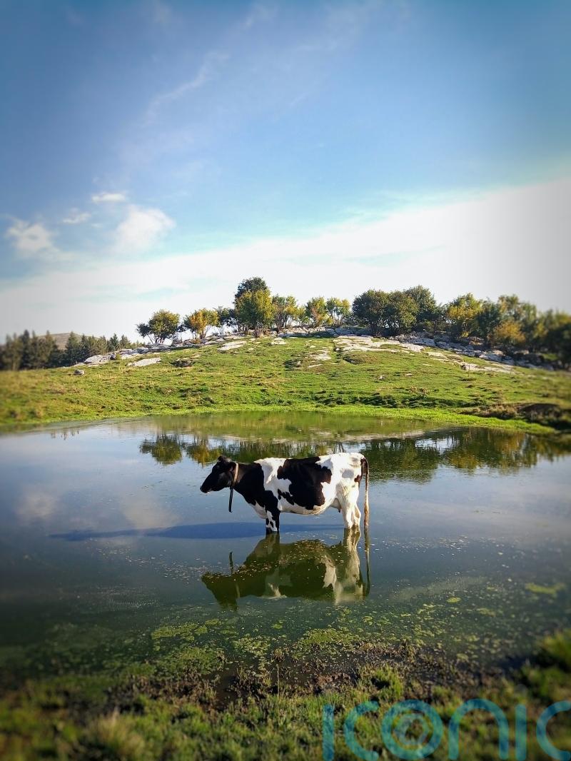 Call to tackle phosphorus impact on food and water security