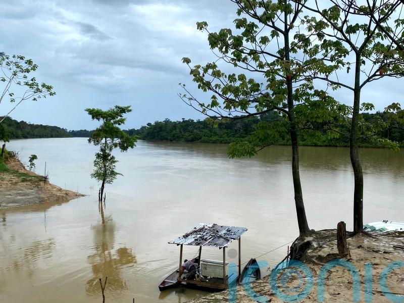 Brazil deploys helicopters in search for British journalist missing in Amazon