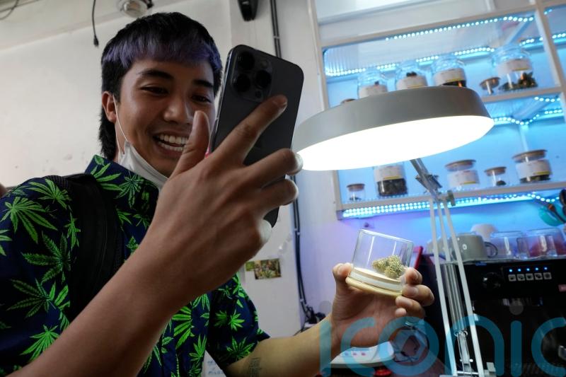 Thailand legalises cultivation and possession of marijuana