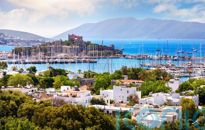 British tourist crushed to death in Turkey