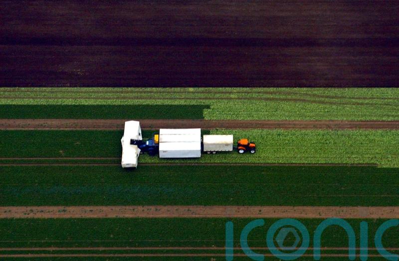 Farmers union criticises leaked food strategy ahead of official launch