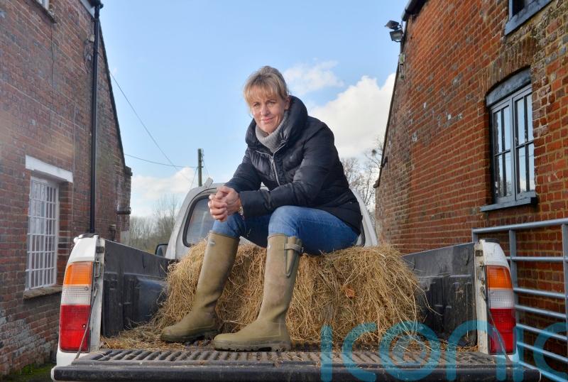 Crops being wasted on British farms despite food bank woes, industry boss says