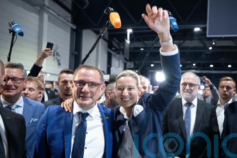 German far-right elects new leaders after co-chair quits