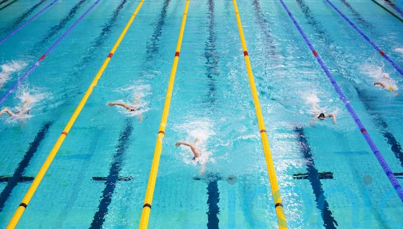 Nadine Dorries supports ban on trans swimmers in elite women’s events