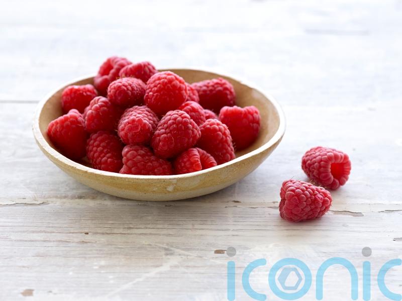 Warm spring means bigger and sweeter raspberries at start of season