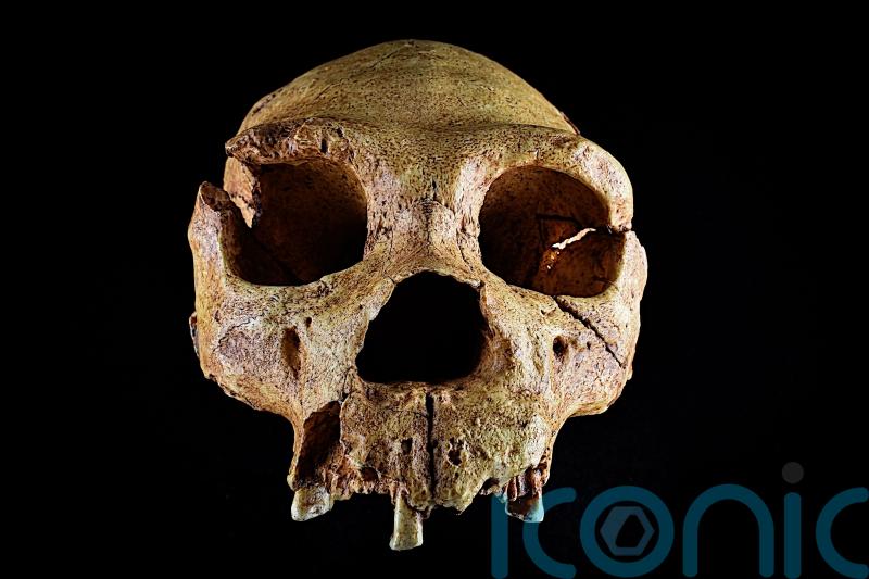 Canterbury suburbs home to some of Britain’s earliest humans, study finds