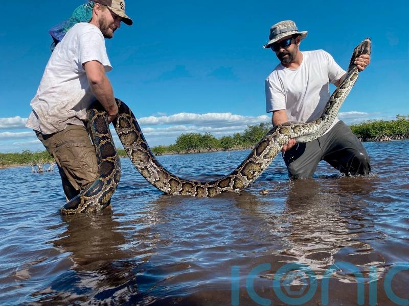Florida wildlife team hauls in 18-foot Burmese python