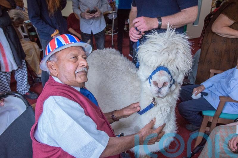 Smiles all round as alpacas surprise residents at Leicester care home