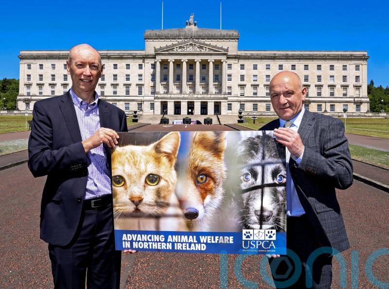 Anti-animal cruelty group at Stormont aim to introduce bill against hunting