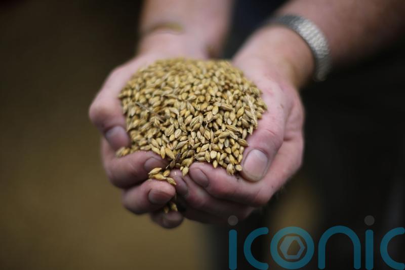 Immediate food supplies in secure position, taskforce finds