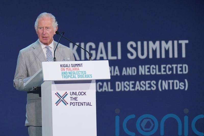 Charles urges Commonwealth leaders to take bold actions for sustainable future
