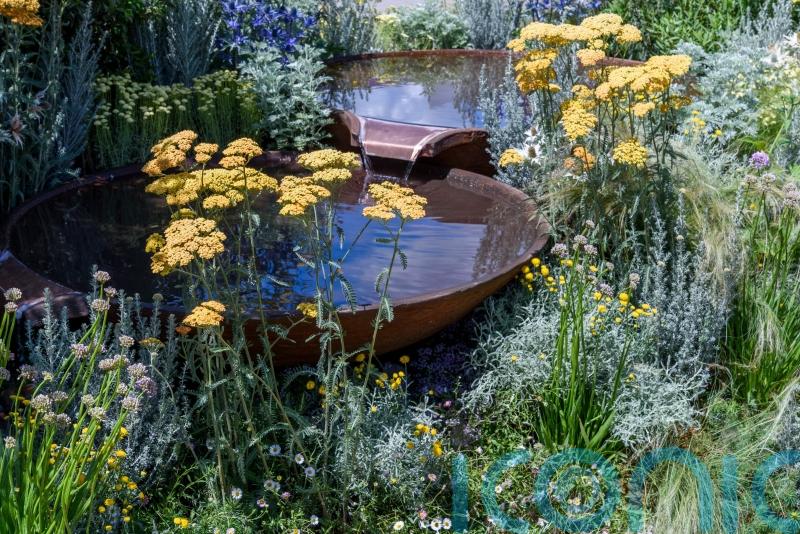 Plant with climate change in mind and let your lawn go brown, gardeners urged