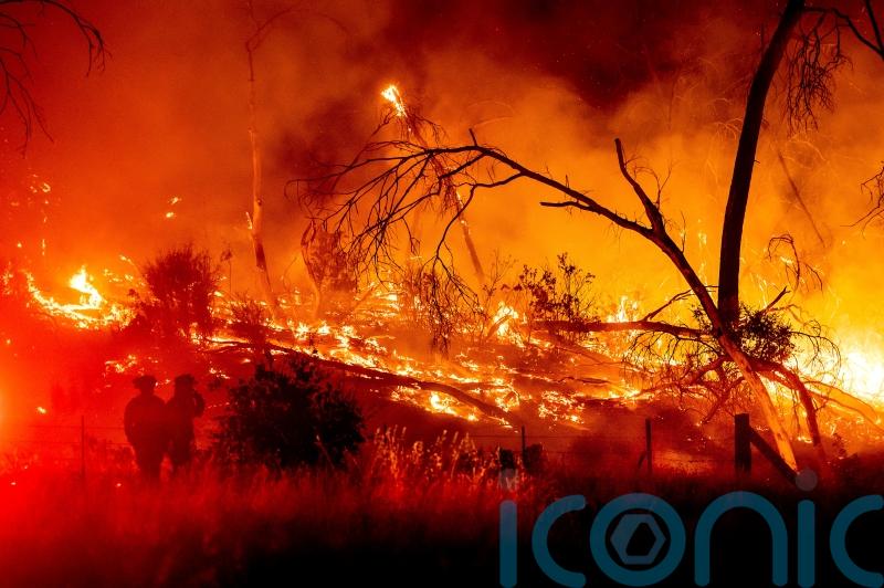 California forest fire temporarily strands July 4 revellers
