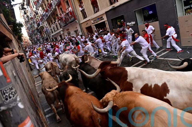 First bull run held in Pamplona as festival returns following pandemic