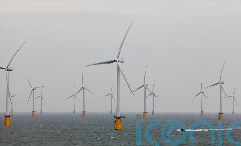 Price of offshore wind power falls to record low