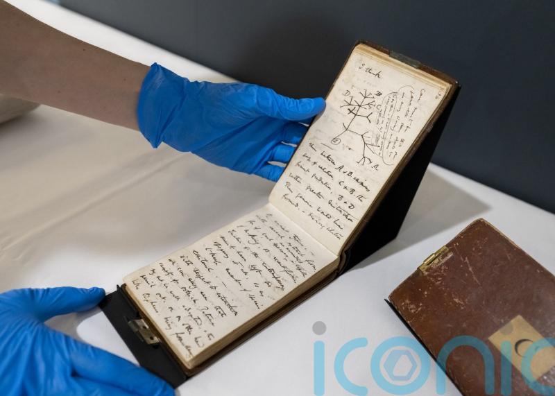 Charles Darwin notebooks that went missing for 20 years are to go on display