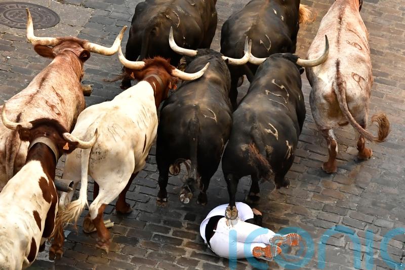 Six injured in second Pamplona bull run